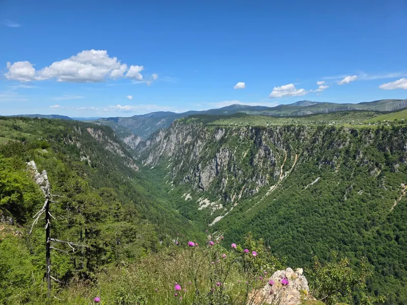 Nedajno