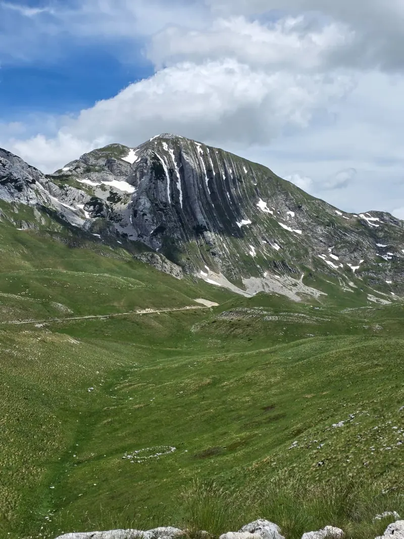 Prutaš