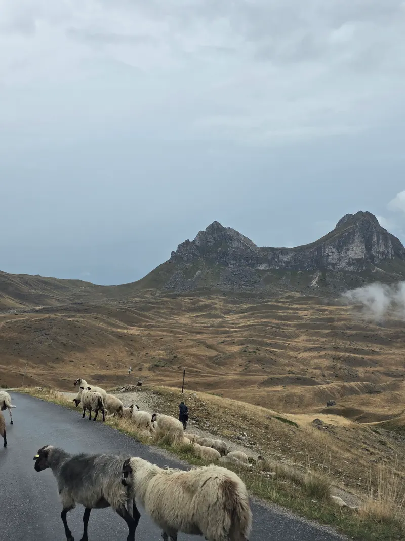 Sedlo Pass — Durmitor jeep safari