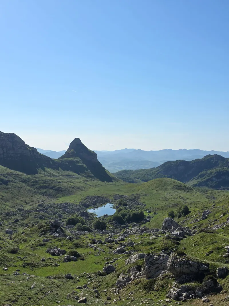 Stožina