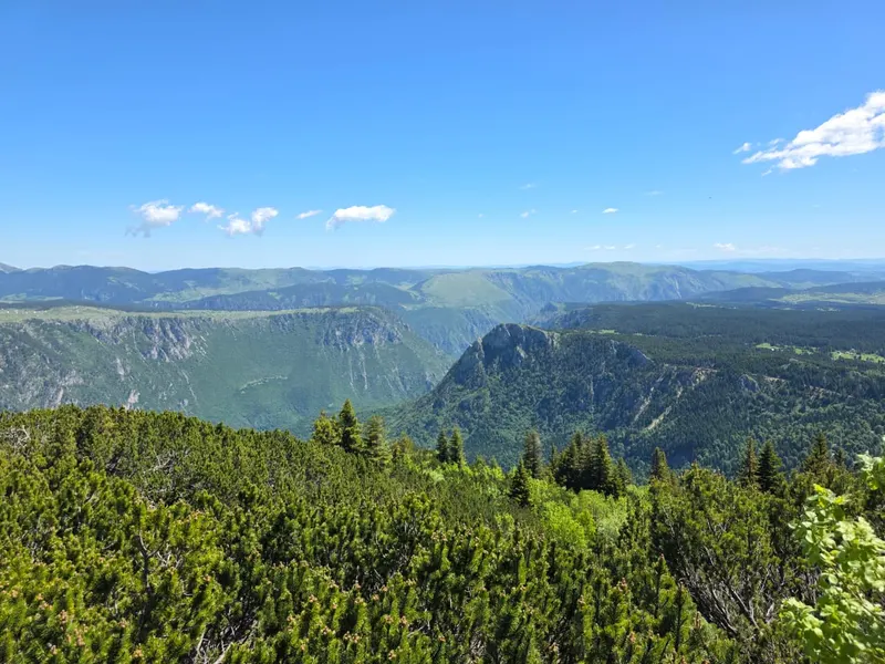 Štuoc